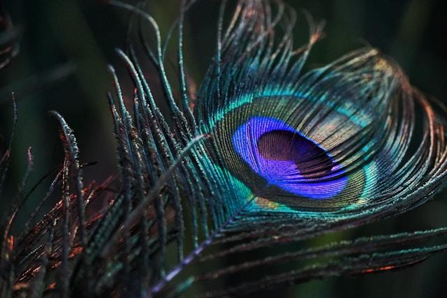 Krishna Janmashtami: Unique Greetings, Fresh Quotes, and Modern Ways to Celebrate Krishna’s Spirit 