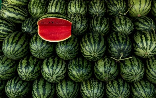 National Watermelon Day: Creative Captions and Ways to Celebrate Summer’s Best Fruit